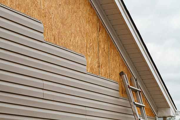 Professional Wood Siding technician working in Lumberton, TX